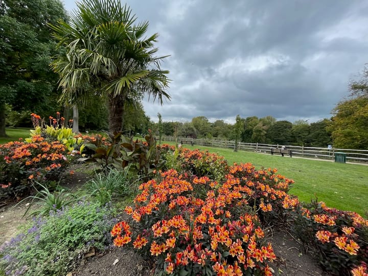 A cherished oasis in a busy town